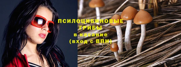 PSILOCYBIN Белокуриха